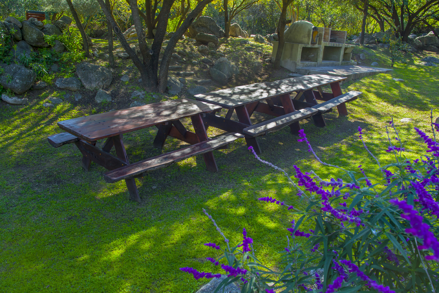 Parque